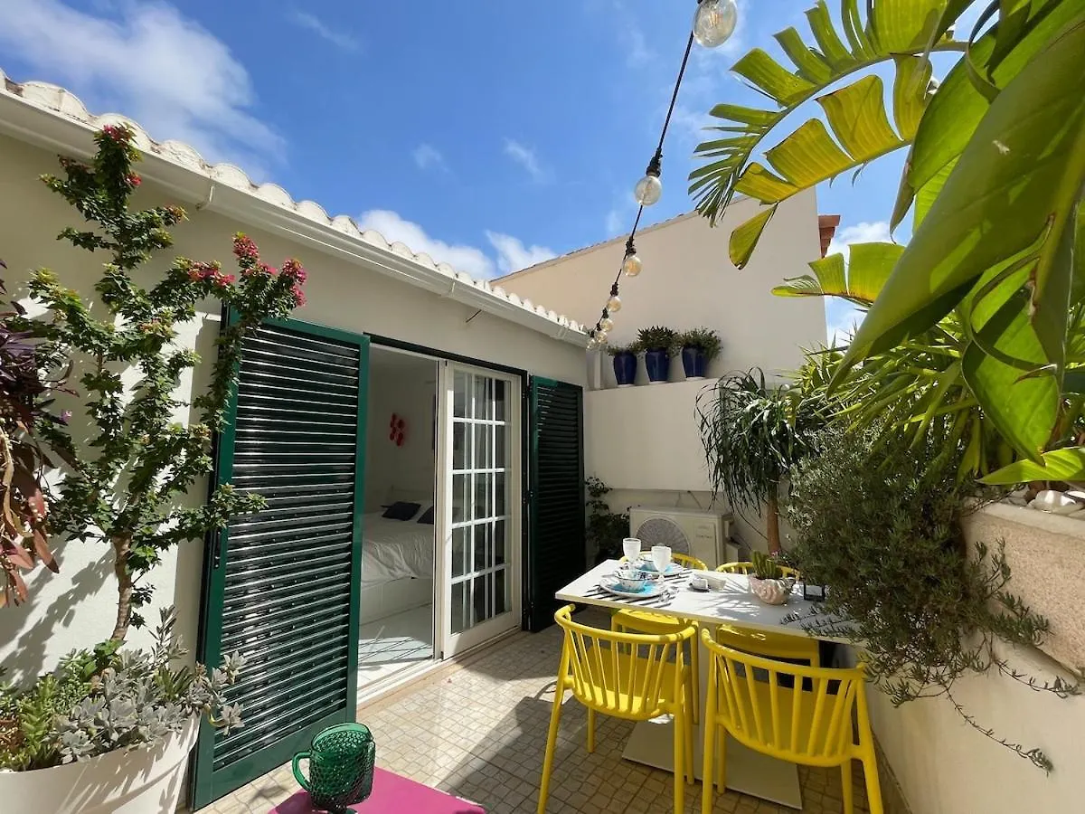 Arty City House Casa Da Selva FAO 0*,