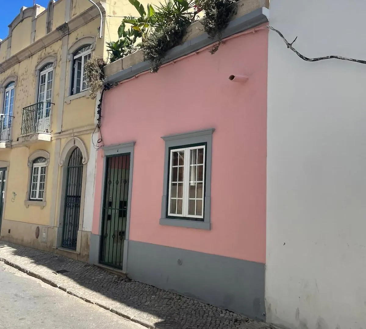 Arty City House Casa Da Selva Faro Apartment