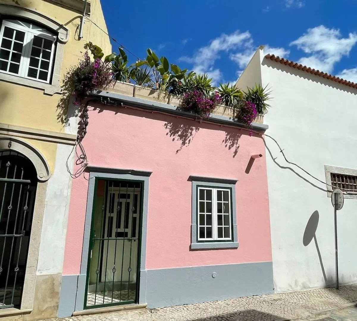 Arty City House Casa Da Selva Faro Apartment